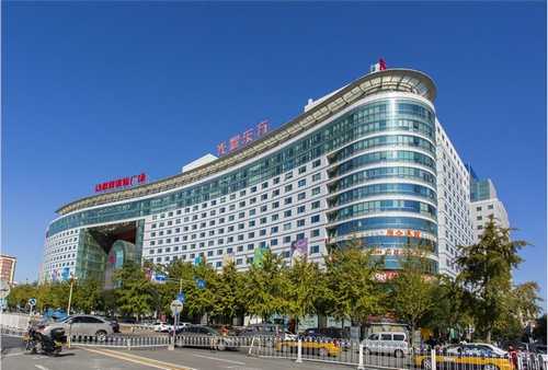 嘉定区疾病动物模型建模评价