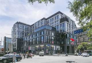 邵阳直销猫粮零食营养品有哪些