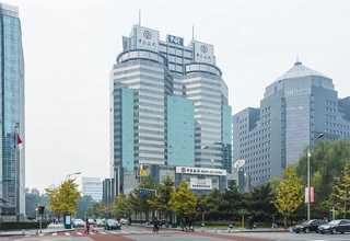 惠安银行绿植租摆