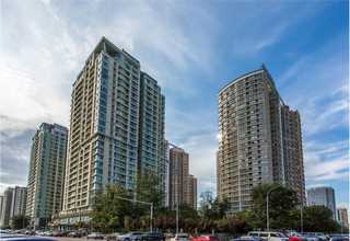 国产中医体质辨识仪-市场价价格