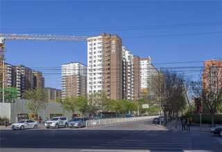 城关区书法培训选哪家